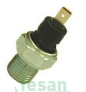 300063 YAĞ MÜŞÜRÜ PEUGEOT 206 306