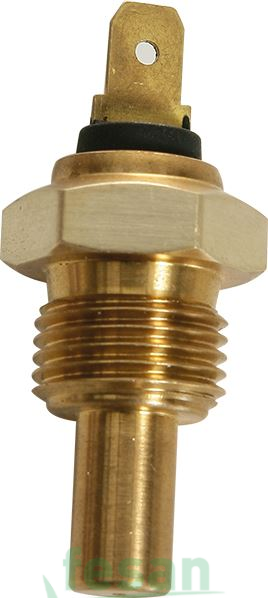 800001 HARARET MÜŞÜRÜ M FERGUSON