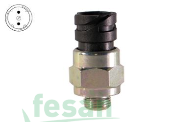 700076 BASINÇ MÜŞÜRÜ FORD CARGO