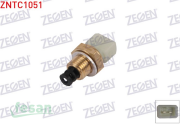 ZNTC1051 HARARET MÜŞÜRÜ R19 CLİO MASTER