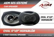 19 1620 HOPARLÖR OVAL 6×9