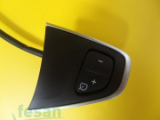 225500009L DİREKSİYON KUMANDA BUTONU DAİCA RENAULT TELEFON KONUŞMA TUŞSUZ R L