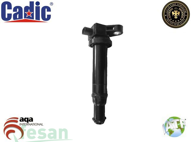 45003267 ATEŞLEME BOBİNİ HYUNDAI KİA RİO CK 25 KALEM BOBİN